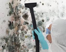 Mold Documentation for Insurance Claims in Estherville, IA